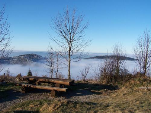 Apartamento G�te Aux Sapins