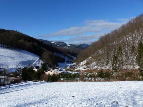 Apartamento G�te Aux Sapins