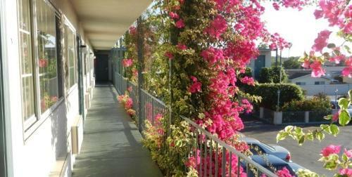 Motel Antioch Executive Inn
