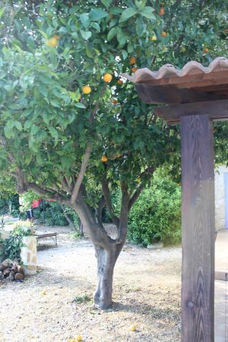 Apartamento Mas Fany Et Olivier