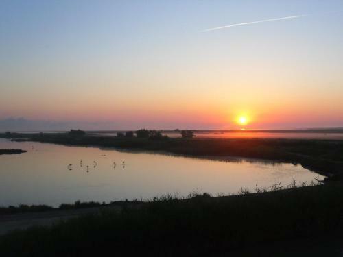 Bed & Breakfast Chambre Les Flamants