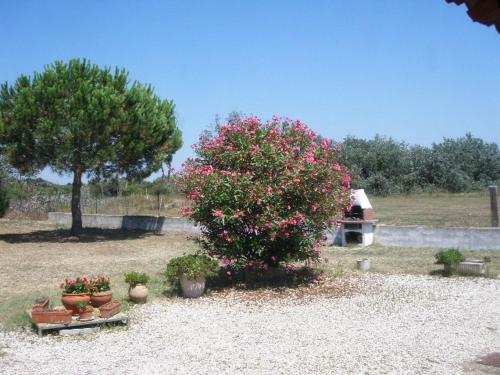 Apartamento Mas Du Clos de La Barque