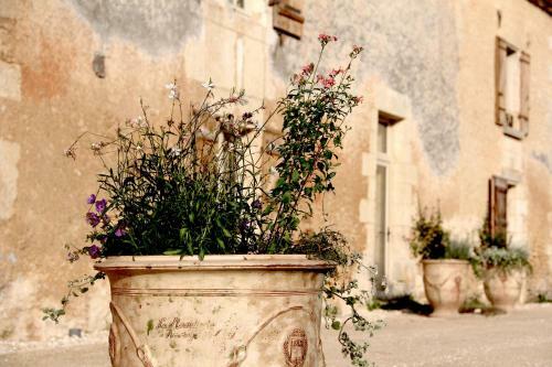 Bed & Breakfast Les Cieux de Saint-f�lix