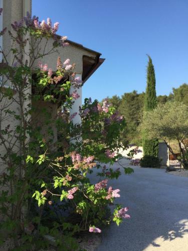 Apartamento Studio Villa Les Canas