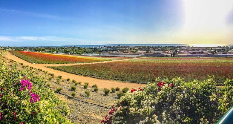 Grand Pacific Palisades Resort & Hotel