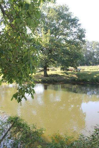 Lodge La Petite Ferme Du Marais
