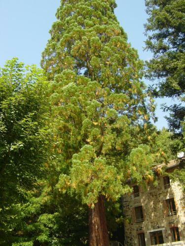 Bed & Breakfast Adonis Chambres D'hotes
