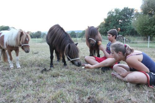 Bed & Breakfast Domaine Des Lilas