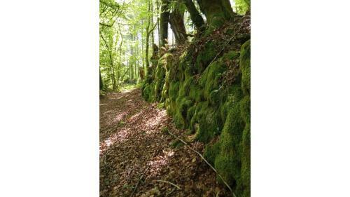 Apartamento Appartement Aux Sources de La Chabanne