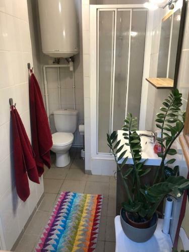 Apartamento Le P'tit Chalet
