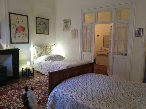 Bed & Breakfast Les Asphod�les