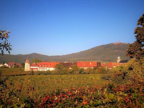 Apartamento Les G�tes de La Tour, Appartement "le Vignoble"