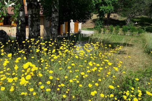 Apartamentos G�te Le Verger Des Martin