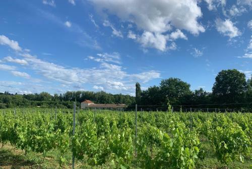 Petit Clos G�te