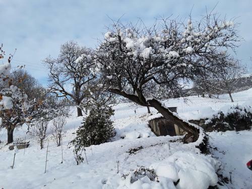 Apartamento La Ferme D Angeline
