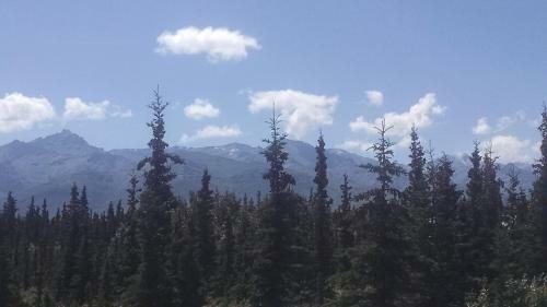Alaskan Spruce Cabins