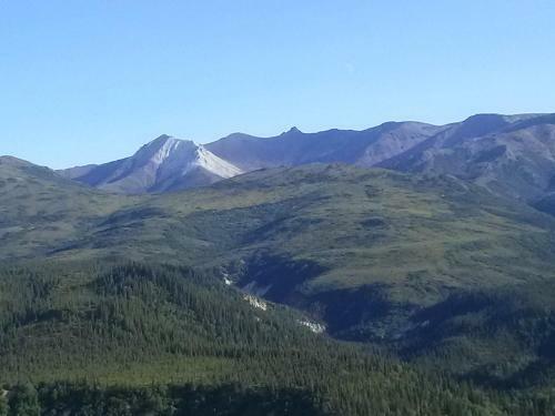 Alaskan Spruce Cabins