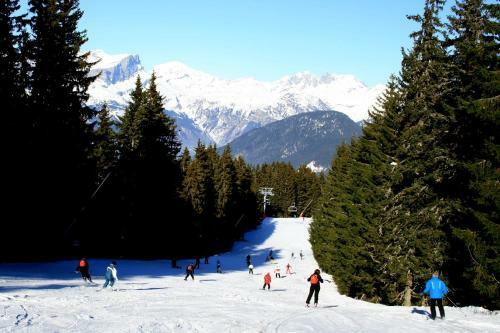 Les Jardins Alpins - Apartment