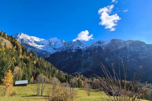 Immobilier de Montagne - La Collection - Le Glacier