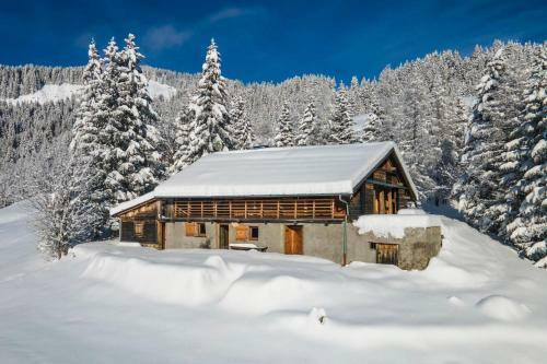 Immobilier de Montagne - La Collection - Le Glacier