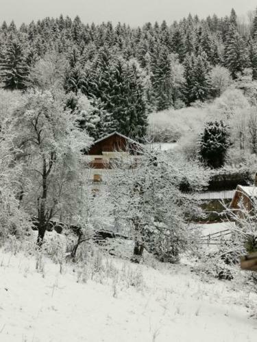 Apartamento Kaban' Des Neiges