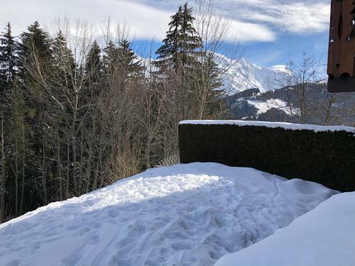 Apartamento Petite Marmotte