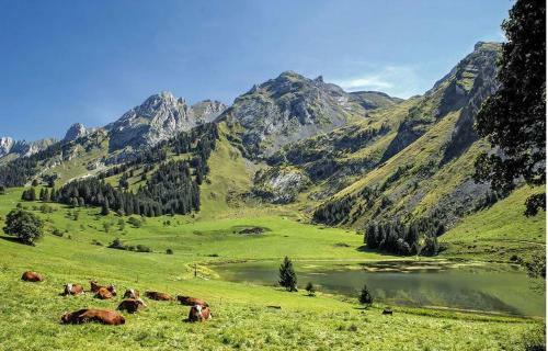 Hotel Les Aravis