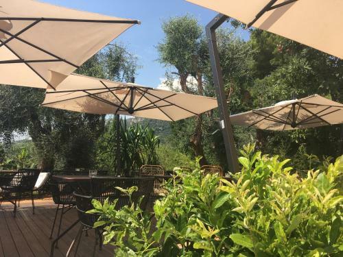Hotel Avocado H�tel Restaurant