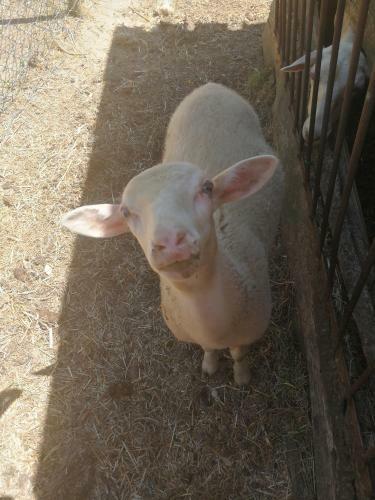Agroturismo Mas Des Gardies
