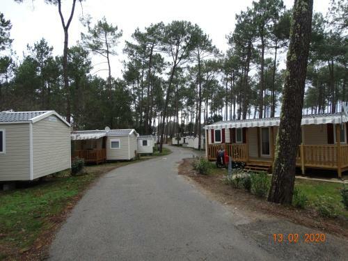 Camping