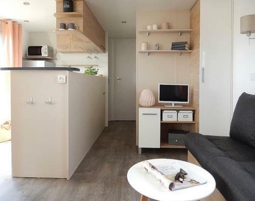 Mobile Home