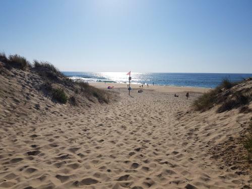 Les Dunes De Contis ***