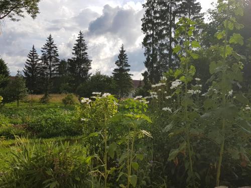 Hostal La Pause � Logis