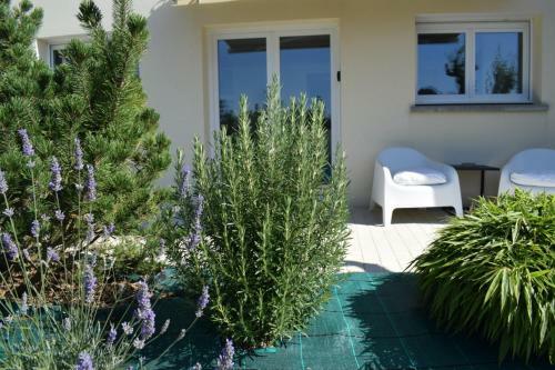 Apartamento Les Sapins Verts -inspiration Deluxe