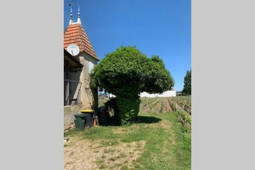 Ch�teau Roseyrol Proche Saint-emilion