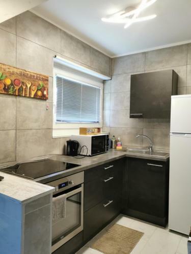Apartamento Le Like Appart Des 3 Fronti�res