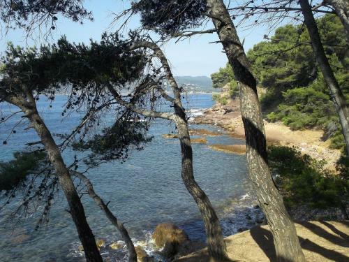 Apartamento Avenue de La Mer