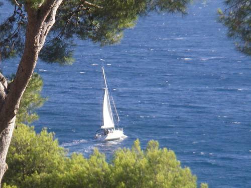 Bed & Breakfast Les Bruyeres