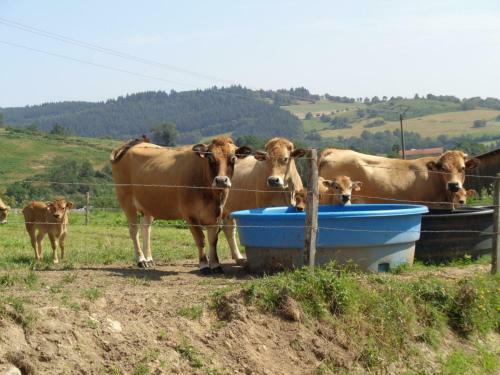 G�te Saint-marcel-d'urf�, 4 Pi�ces, 5 Personnes - Fr-1-496-235