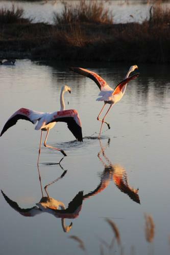 Bed & Breakfast Lou Meinado