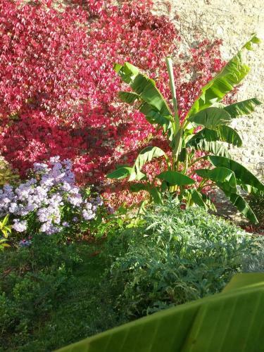 Bed & Breakfast Chambre D'h�te Le 18-20