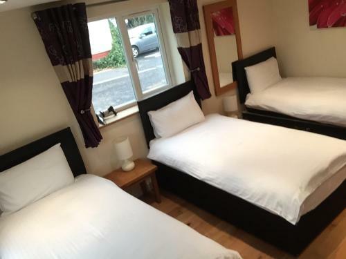 Bed & Breakfast Westfield Lodge