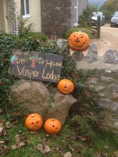 Hostal Apple Tree House