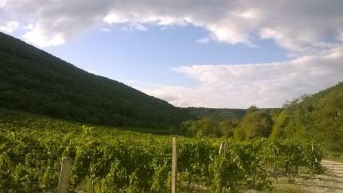 Bed & Breakfast La Dame Blanche