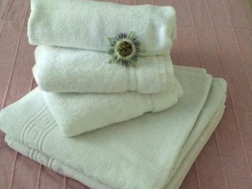 Chambres Les Passiflores