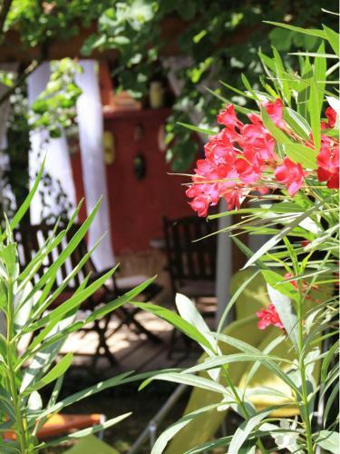 Bed & Breakfast Les Pascals