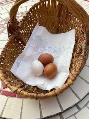 Bed & Breakfast Chez Mamylette