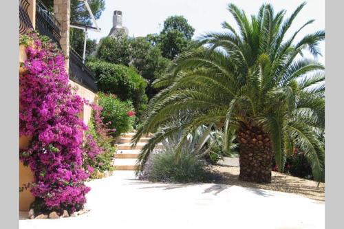 Villa Lou Pei 2