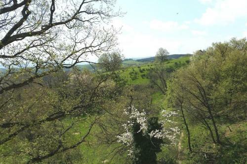 G�te Les Cadichons De La Grange