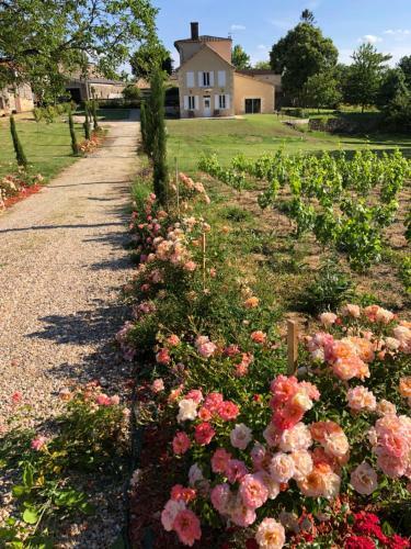 All�e Des Roses